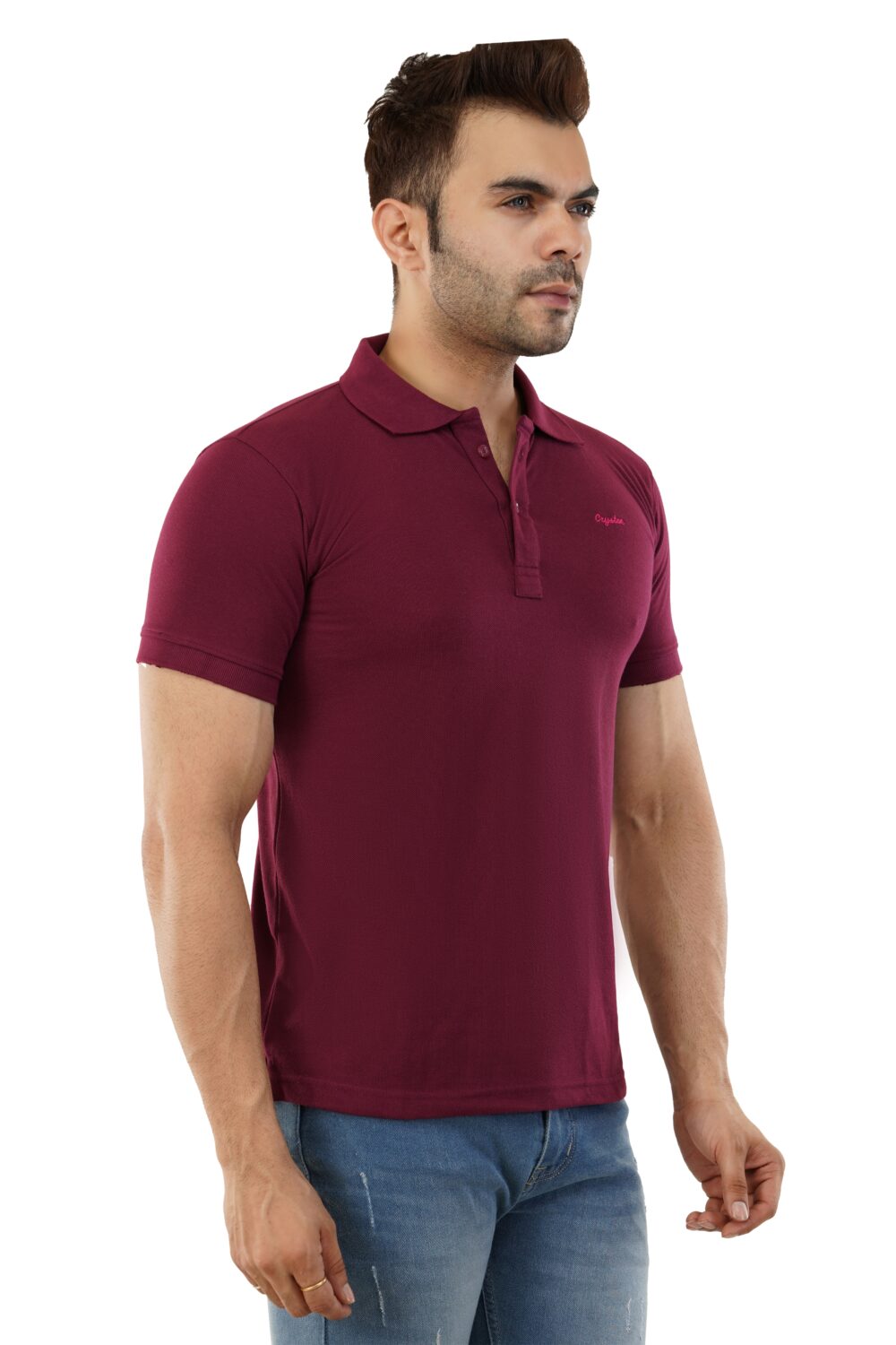 Men's Regular Fit Solid Casual Polo T-Shirt